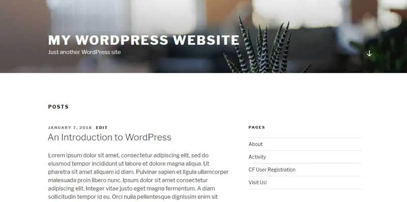 Página frontal ejemplo sitio WordPress