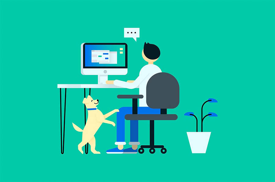 Three Ways to Distract Your Dog While You Work From Home