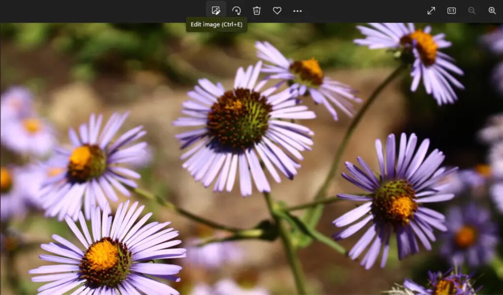 Captura de pantalla con marcado que muestra la ubicación del botón de edición de imagen, que parece un ícono de foto con un ícono de lápiz de edición encima.