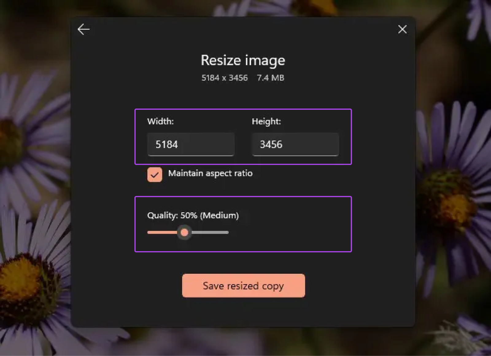 Resize image options with Define custom dimensions selected, the lower-most option.