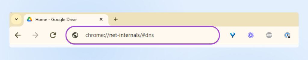 Primer plano de la URL en Chrome con la entrada "chrome://net-intervals/#dns" escrita.