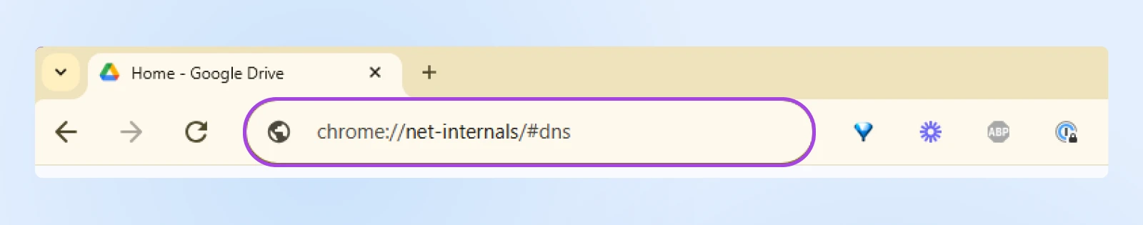 close up of the URL in Chrome with input "chrome://net-intervals/#dns" entered