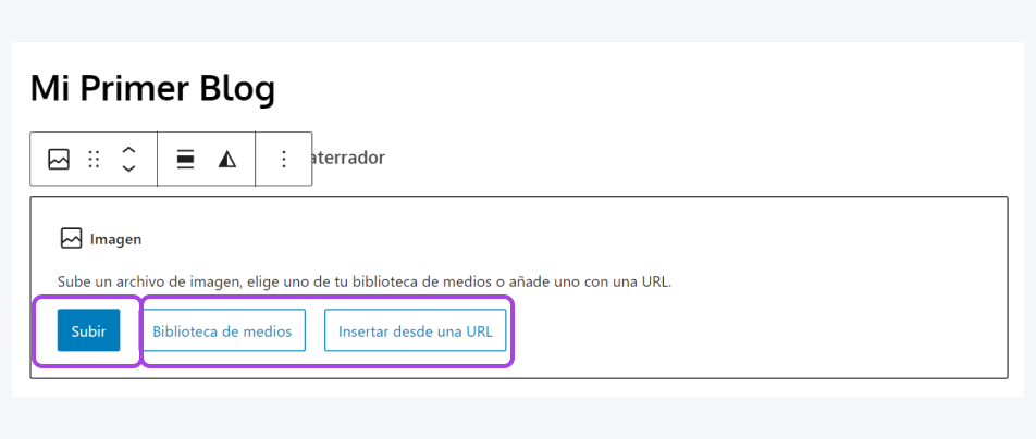 Para cargar un archivo de imagen, haga clic en el botón azul Cargar. O elija entre "Seleccionar imagen" o "Insertar desde URL".