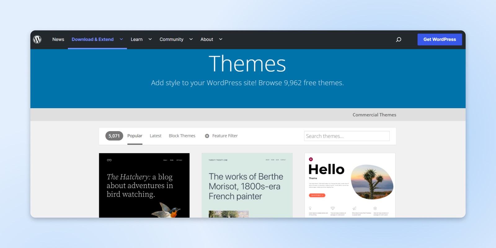Explore custom website themes —