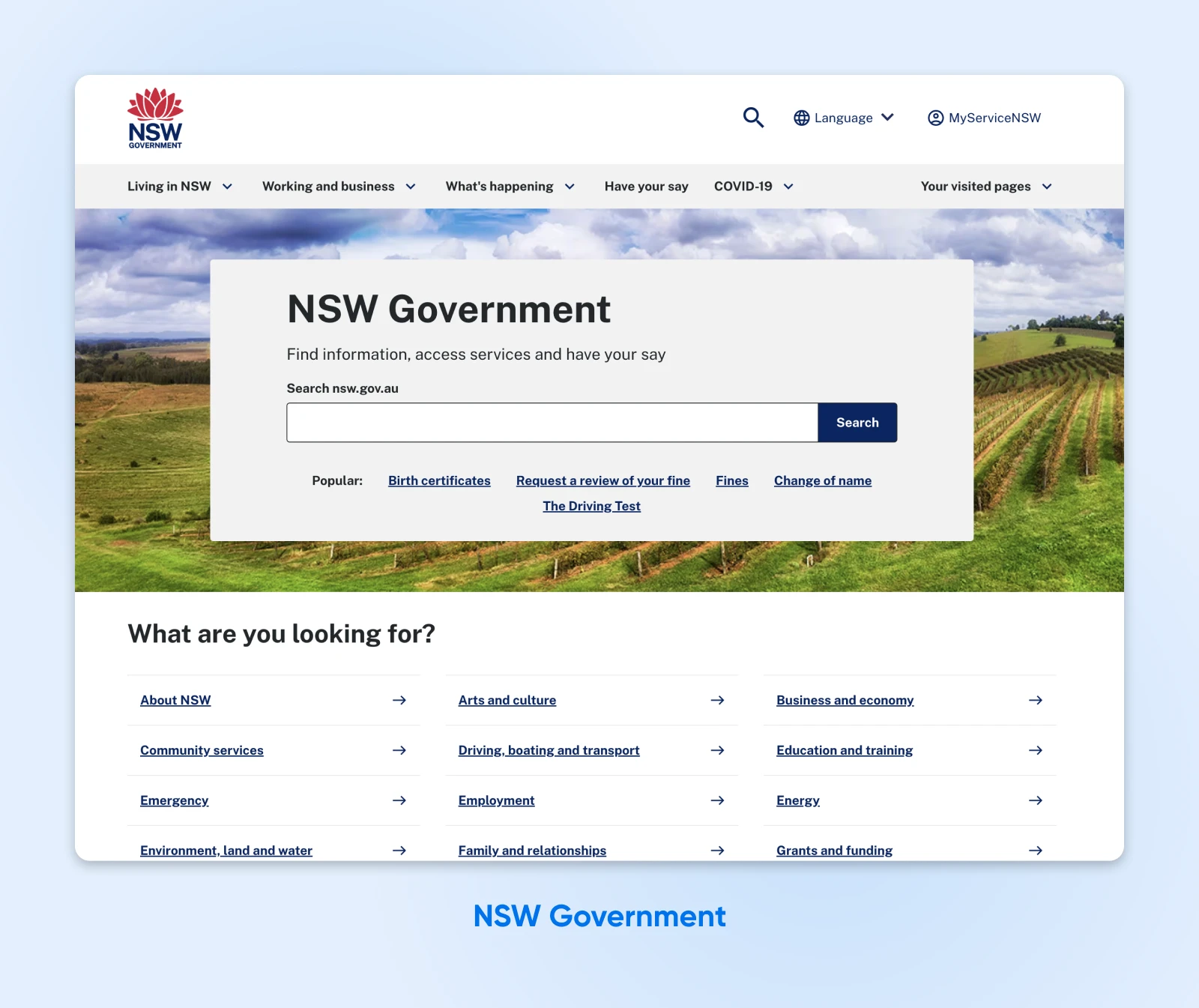 NSW Government website with a search bar front and centre, and a "What are you looking for?" section below with links.