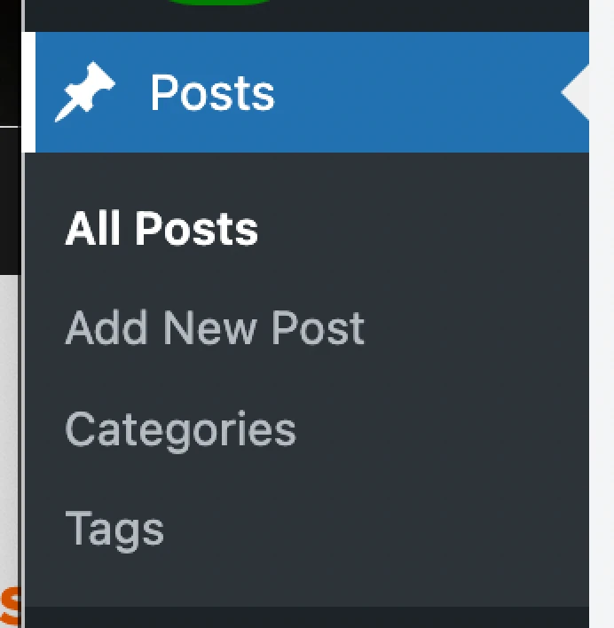 The Posts menu in WordPress. The first option lists 'All posts' in white.