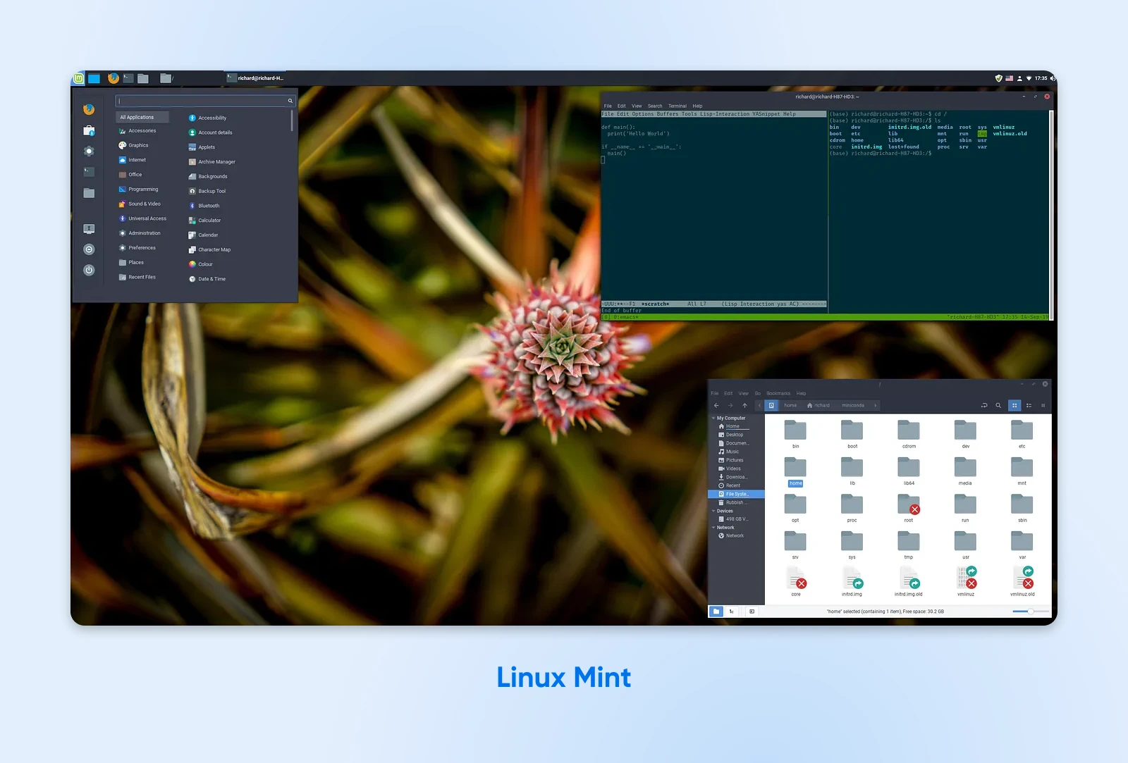 The Cinnamon desktop on Linux Mint showing a vibrant floral photo, file manager, terminal and system monitor.