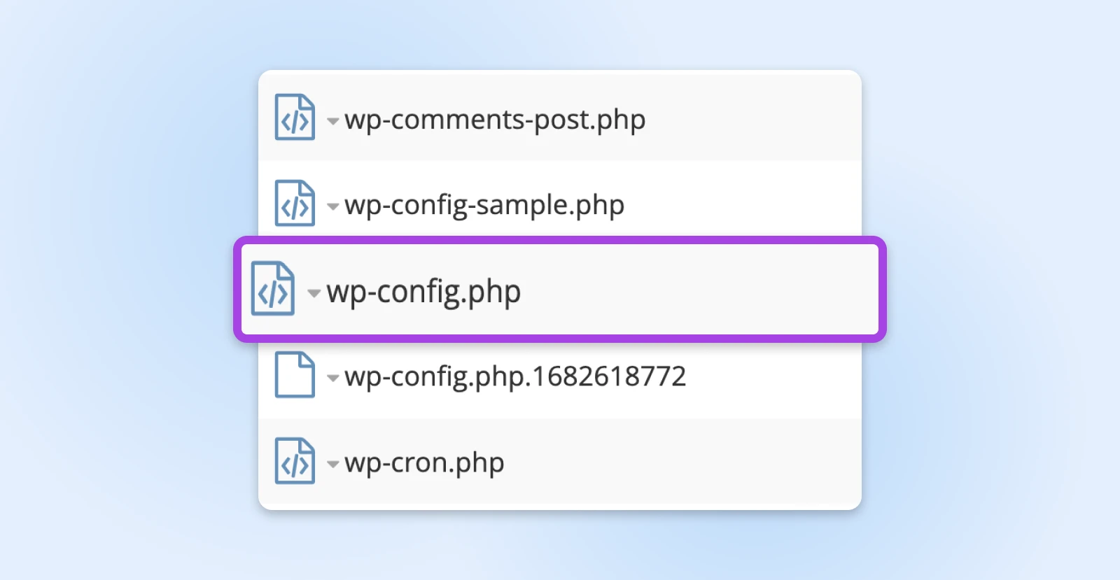 wp-config.php file in the root directory