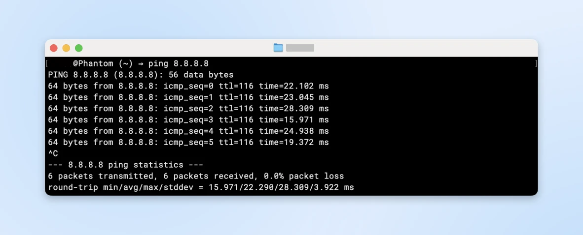 command box with "PING 8.8.8.8." entered and responses of 64 bytes from 8.8.8.8.: icmp_seq-0" cascaing down to 5