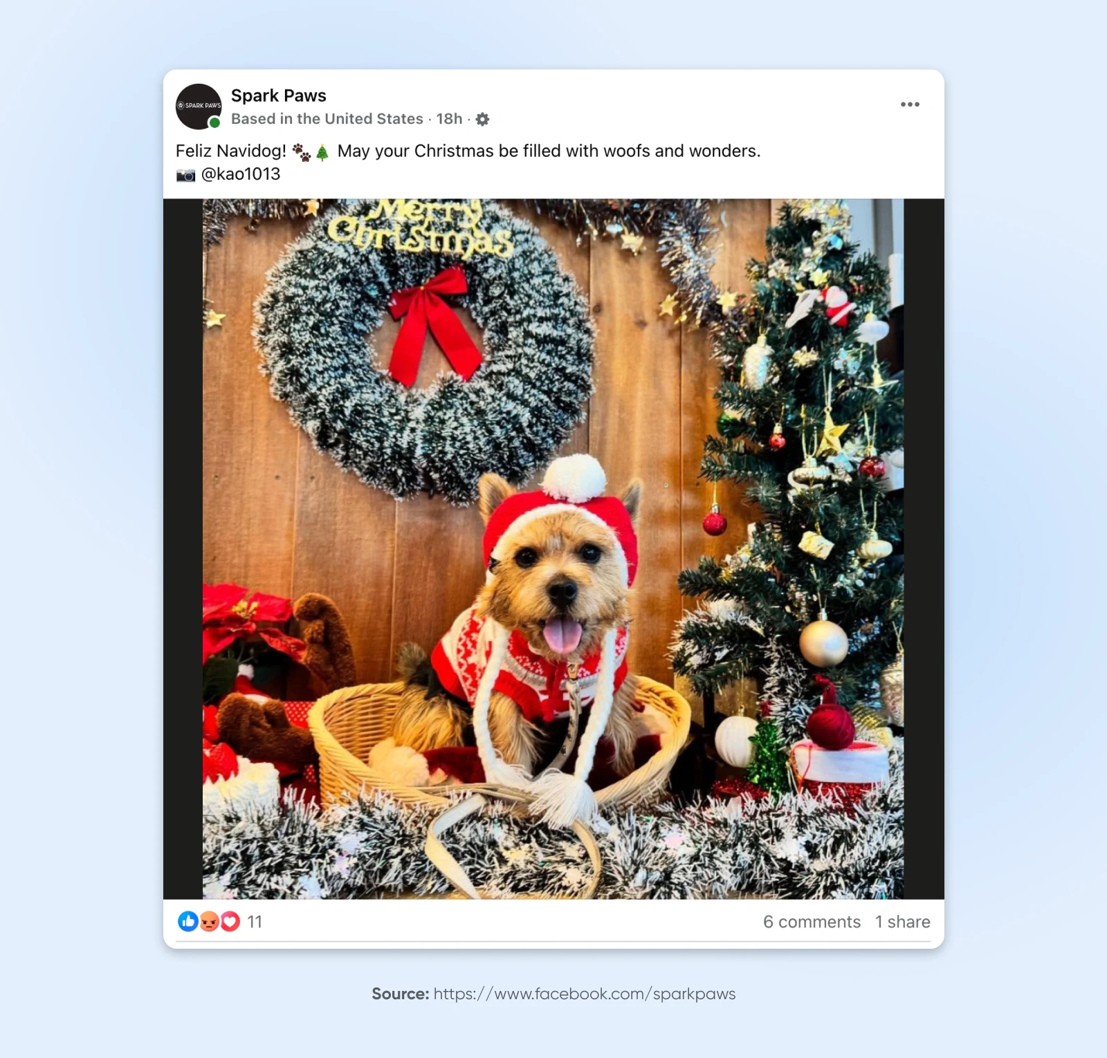 Small dog in Christmas outfit sitting in basket, surrounded by decorated tree, wreath, and holiday decorations